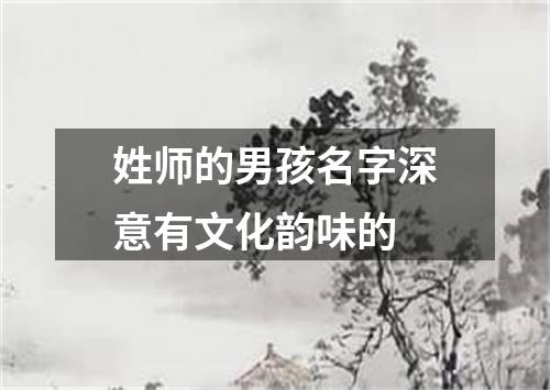 姓师的男孩名字深意有文化韵味的