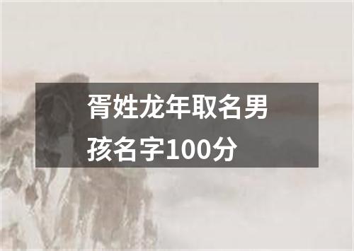 胥姓龙年取名男孩名字100分