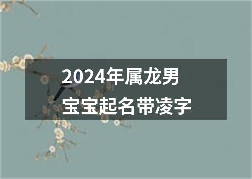 2024年属龙男宝宝起名带凌字