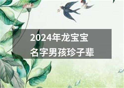 2024年龙宝宝名字男孩珍子辈