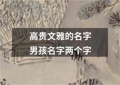 高贵文雅的名字男孩名字两个字