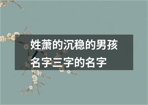 姓萧的沉稳的男孩名字三字的名字