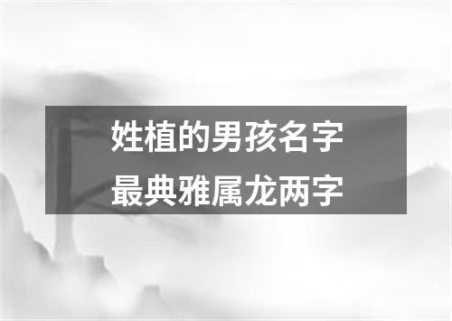 姓植的男孩名字最典雅属龙两字