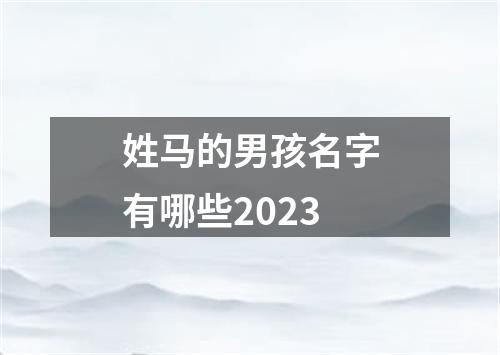 姓马的男孩名字有哪些2023