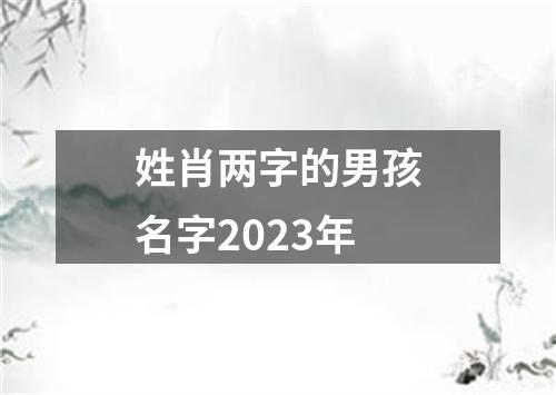 姓肖两字的男孩名字2023年