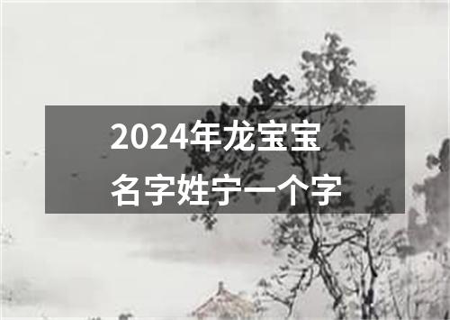 2024年龙宝宝名字姓宁一个字