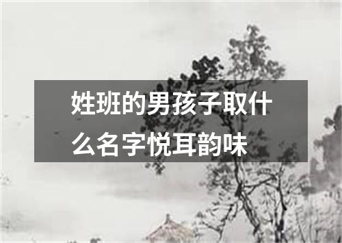 姓班的男孩子取什么名字悦耳韵味