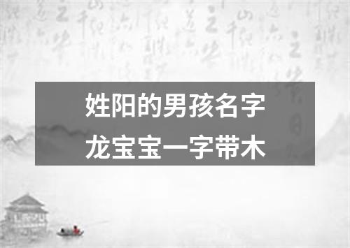 姓阳的男孩名字龙宝宝一字带木