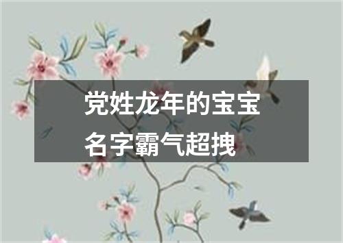 党姓龙年的宝宝名字霸气超拽