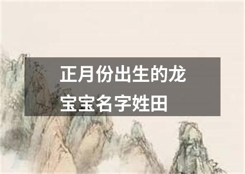 正月份出生的龙宝宝名字姓田