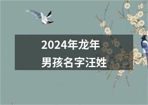 2024年龙年男孩名字汪姓