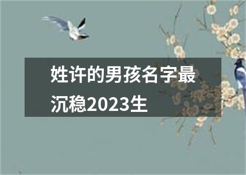 姓许的男孩名字最沉稳2023生