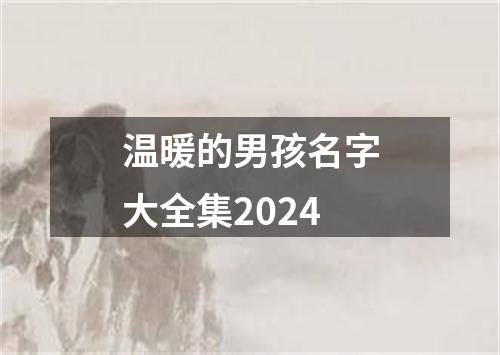 温暖的男孩名字大全集2024