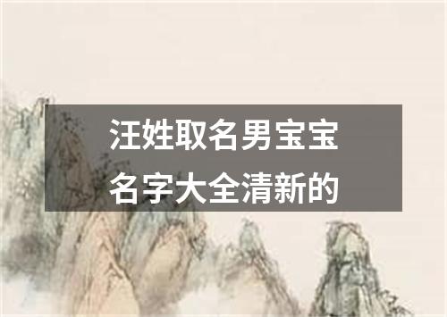 汪姓取名男宝宝名字大全清新的