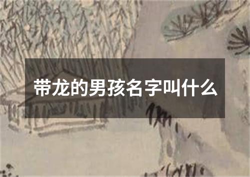 带龙的男孩名字叫什么