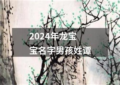 2024年龙宝宝名字男孩姓谭