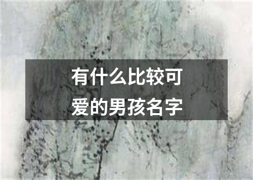 有什么比较可爱的男孩名字