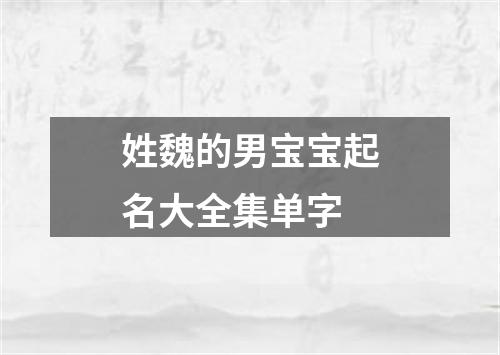 姓魏的男宝宝起名大全集单字