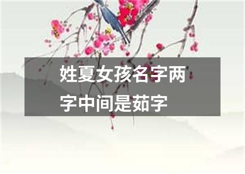 姓夏女孩名字两字中间是茹字