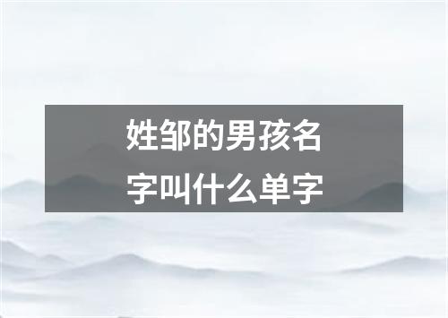 姓邹的男孩名字叫什么单字