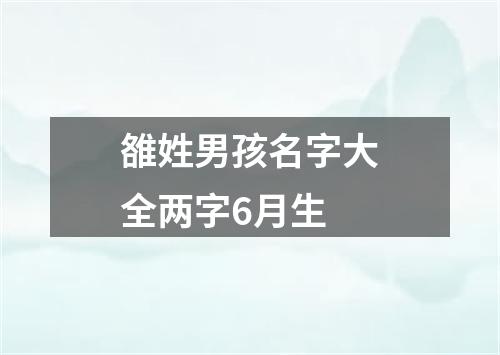 雒姓男孩名字大全两字6月生