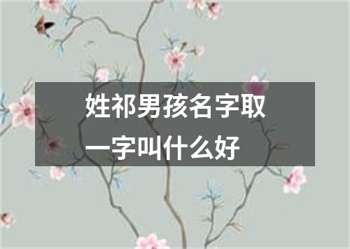 姓祁男孩名字取一字叫什么好