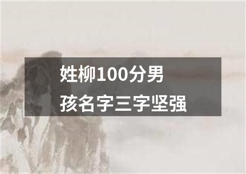 姓柳100分男孩名字三字坚强