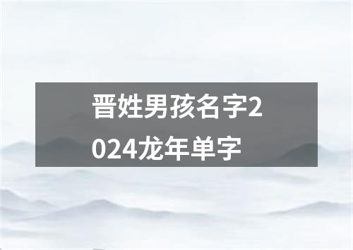 晋姓男孩名字2024龙年单字