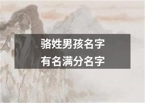 骆姓男孩名字有名满分名字