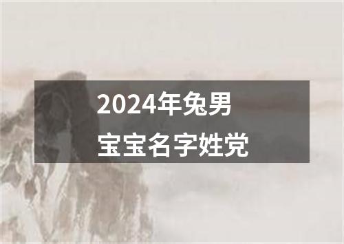 2024年兔男宝宝名字姓党