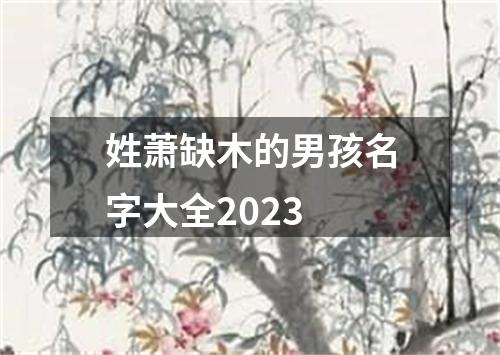 姓萧缺木的男孩名字大全2023