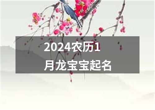 2024农历1月龙宝宝起名