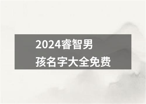 2024睿智男孩名字大全免费