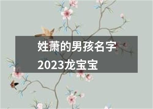 姓萧的男孩名字2023龙宝宝