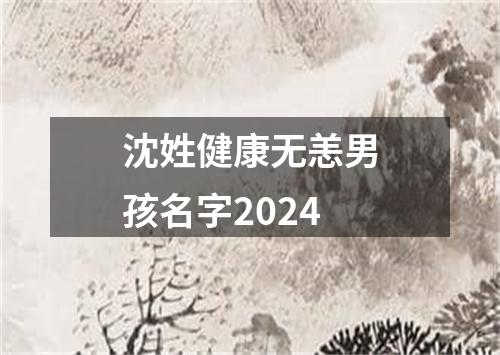 沈姓健康无恙男孩名字2024