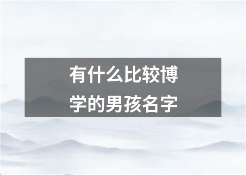 有什么比较博学的男孩名字