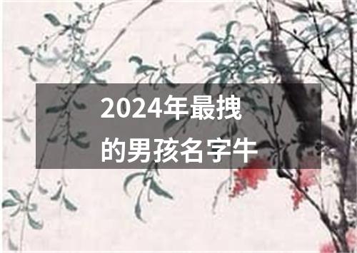 2024年最拽的男孩名字牛