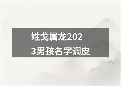 姓戈属龙2023男孩名字调皮