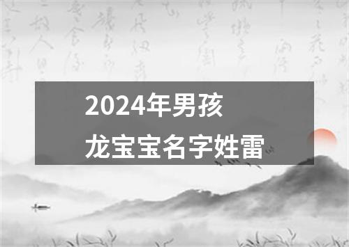 2024年男孩龙宝宝名字姓雷