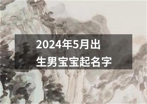 2024年5月出生男宝宝起名字