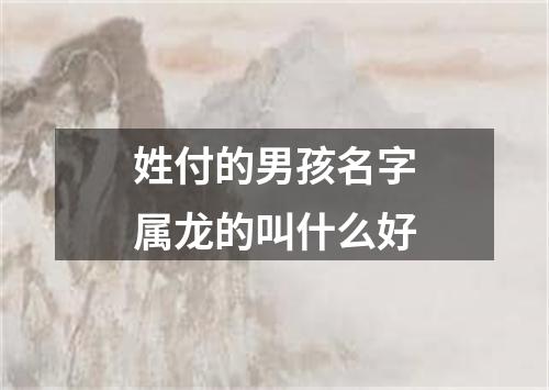 姓付的男孩名字属龙的叫什么好