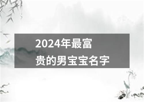 2024年最富贵的男宝宝名字