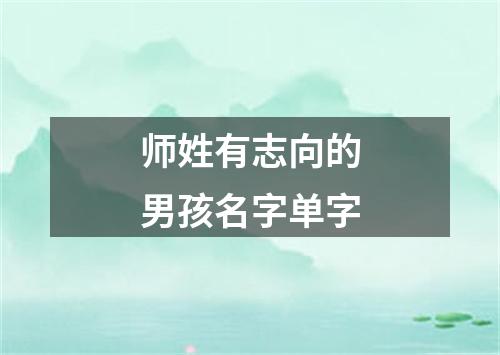 师姓有志向的男孩名字单字