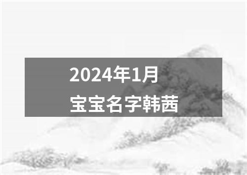 2024年1月宝宝名字韩茜