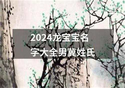 2024龙宝宝名字大全男冀姓氏