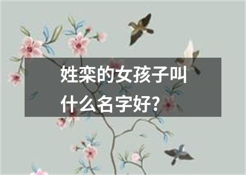 姓栾的女孩子叫什么名字好?