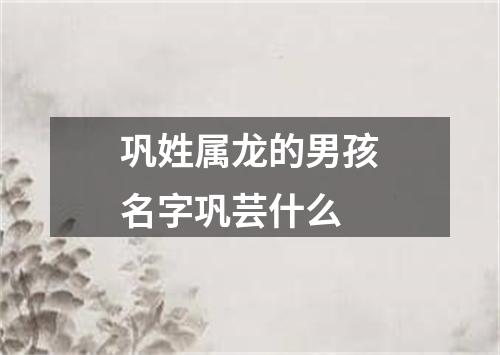 巩姓属龙的男孩名字巩芸什么