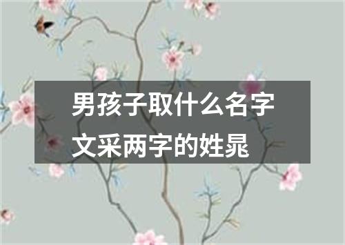 男孩子取什么名字文采两字的姓晁