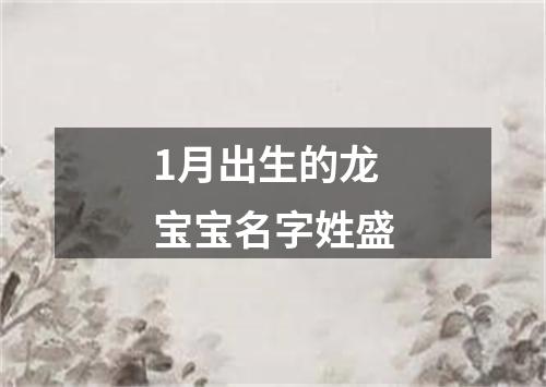 1月出生的龙宝宝名字姓盛