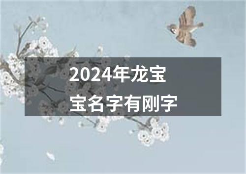 2024年龙宝宝名字有刚字